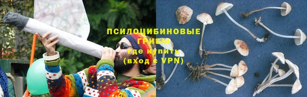 дурь Армянск
