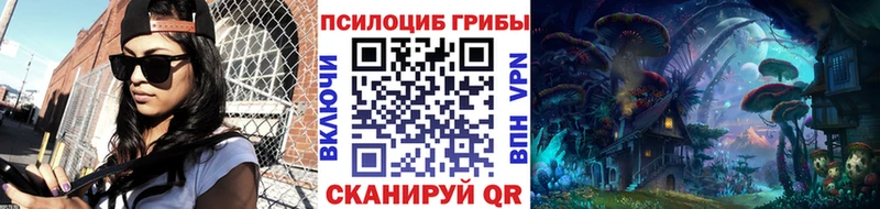 Псилоцибиновые грибы Psilocybine cubensis  мега онион  Задонск 